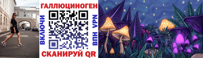 Псилоцибиновые грибы Cubensis  Невель 