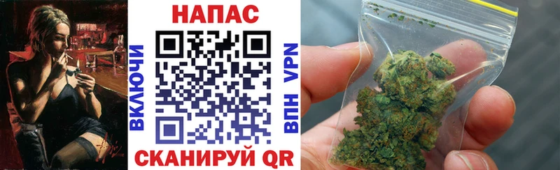Бошки Шишки конопля  Невель 